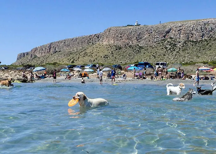 Disfruta De Santa Pola, Acogedor Apartamento En El Centro.