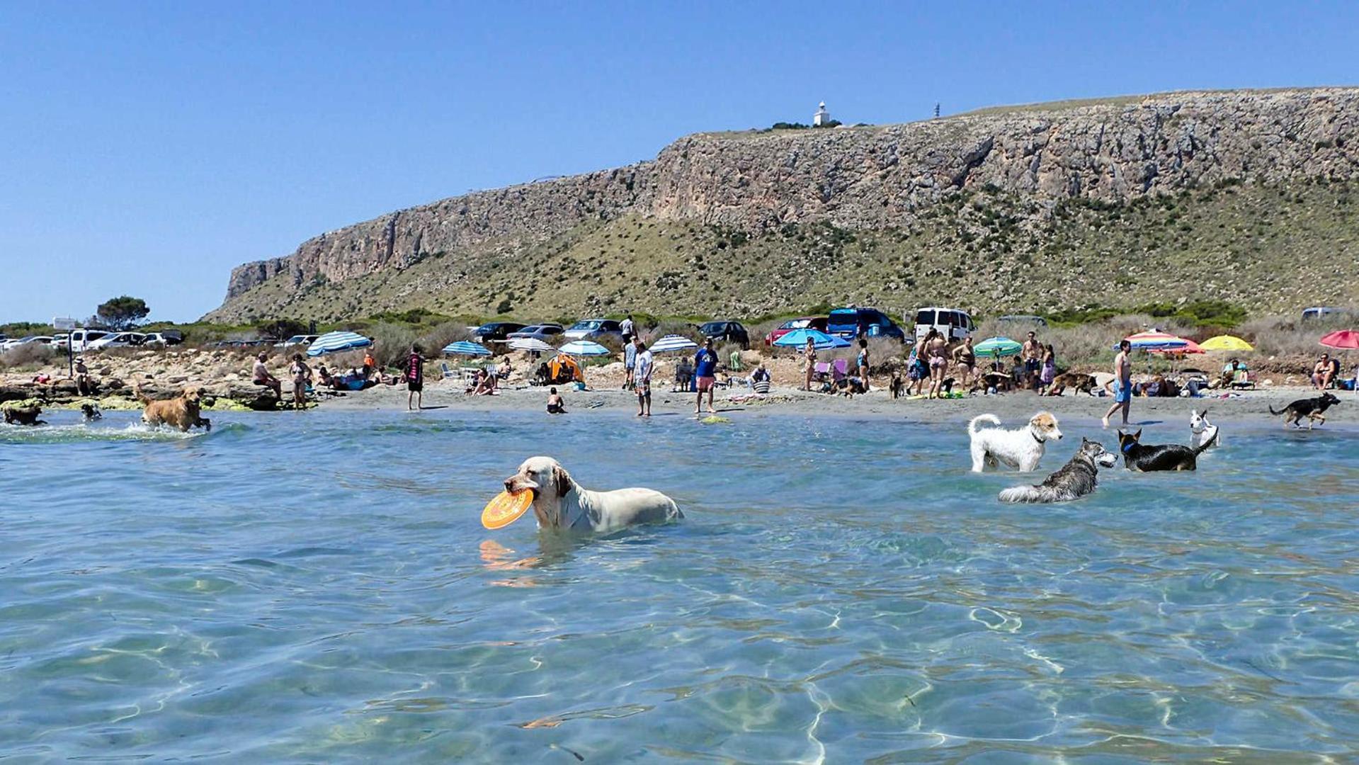 Appartamento Disfruta De Santa Pola, Acogedor En El Centro. Santa Pola